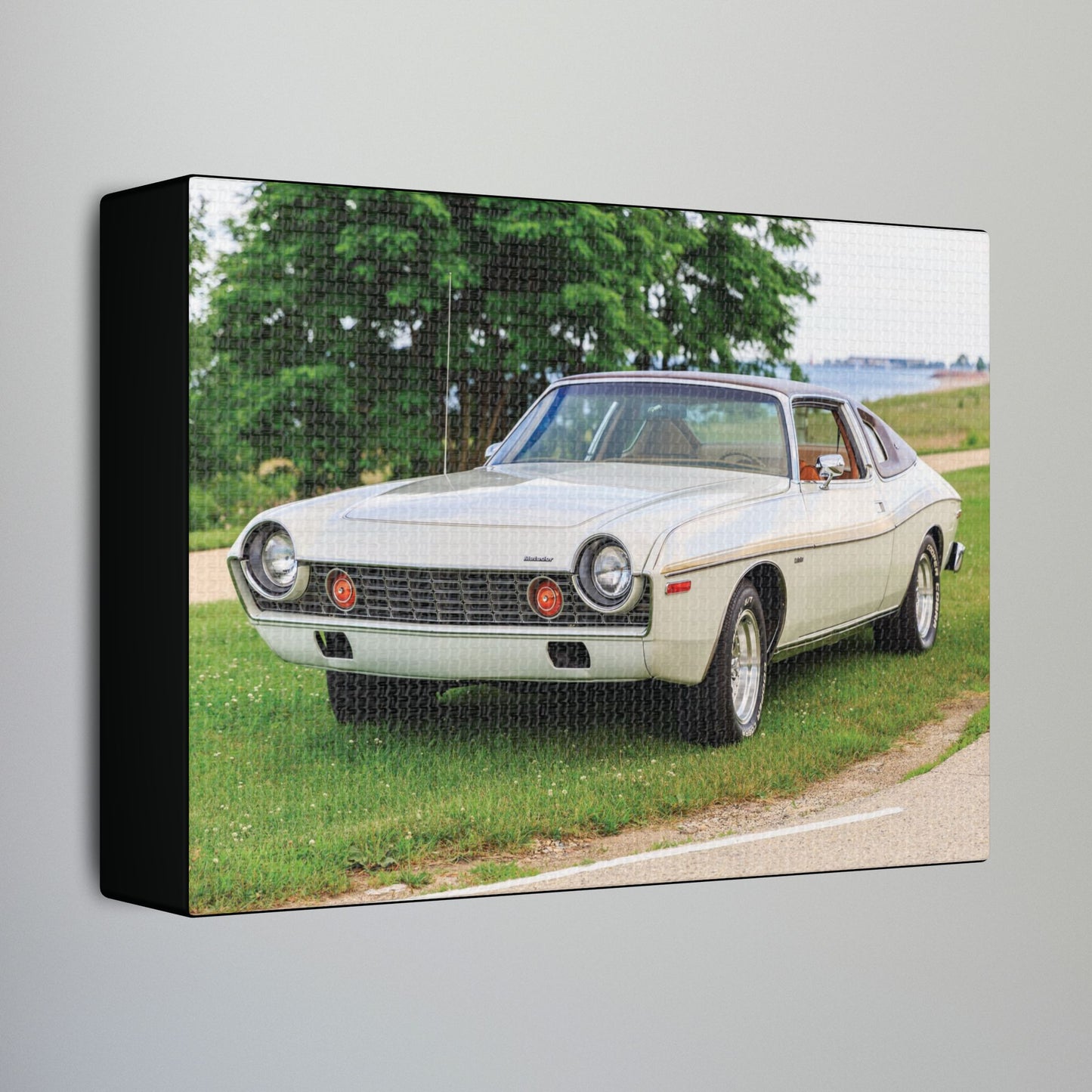 AMC Homecoming Photography Stretched Canvas Print
