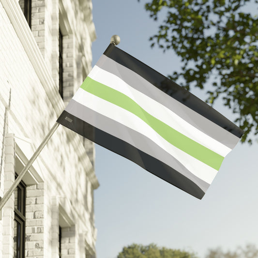 60" x 36" Agender Pride Flag