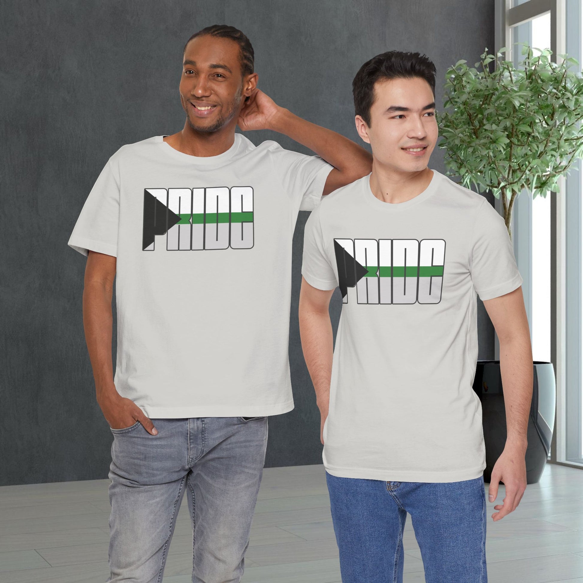 Demiromantic Pride Tee