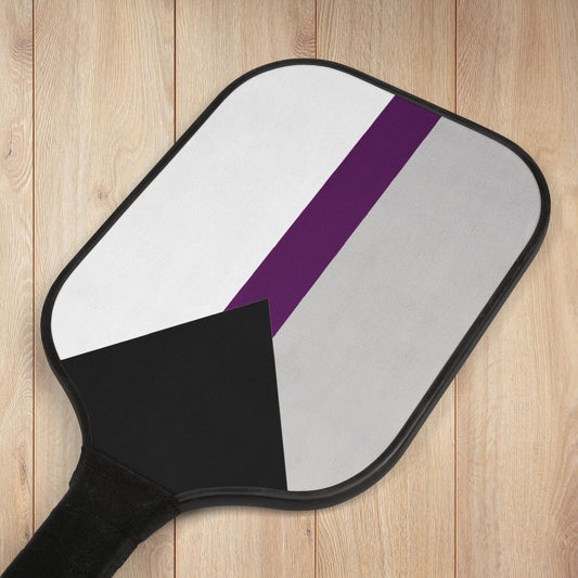 Demisexual Pride Flag Pickleball Kit