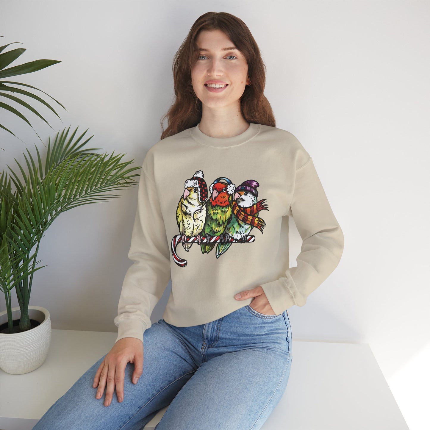 3 tourtereaux avec vêtements d’hiver et perchés sur une canne en bonbon, sweat-shirt à col rond