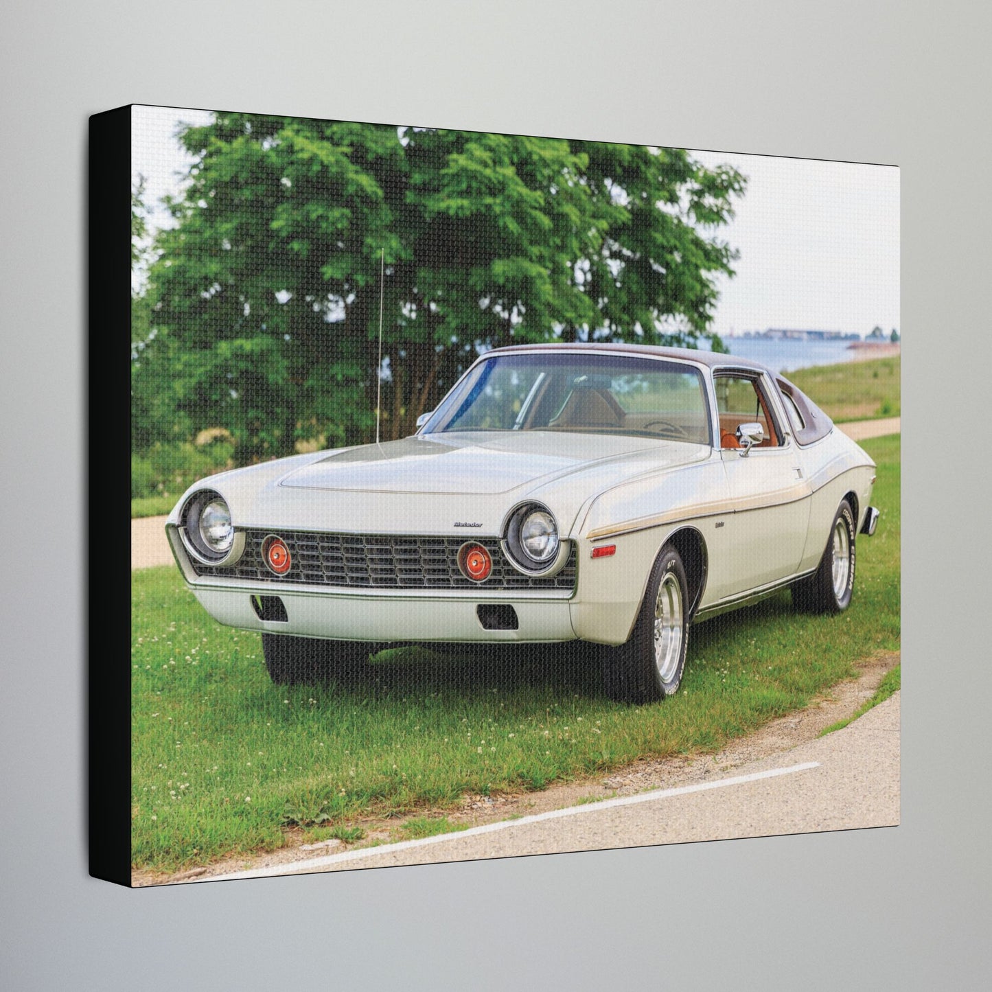 AMC Homecoming Photography Stretched Canvas Print