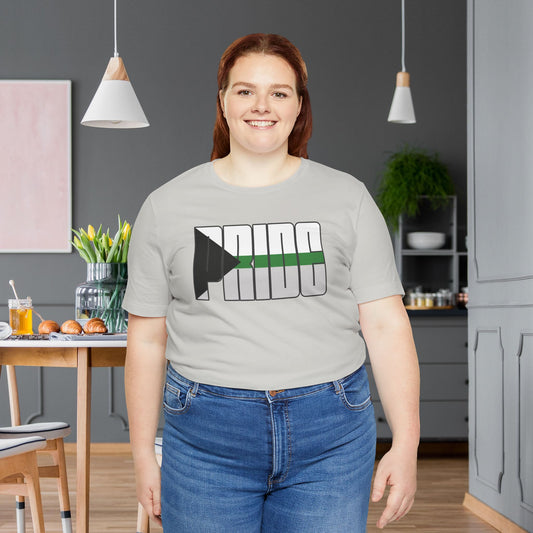 Silver Demiromantic Pride Tee