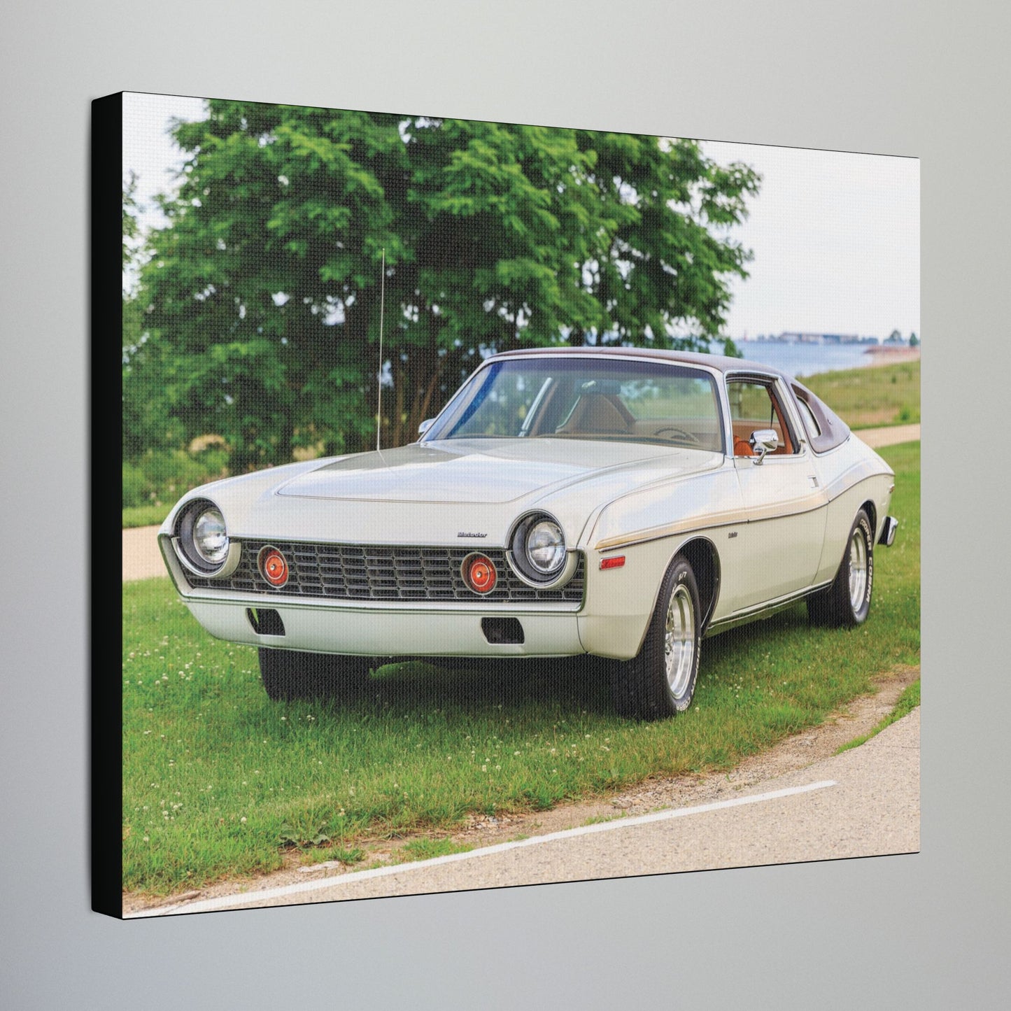 AMC Homecoming Photography Stretched Canvas Print