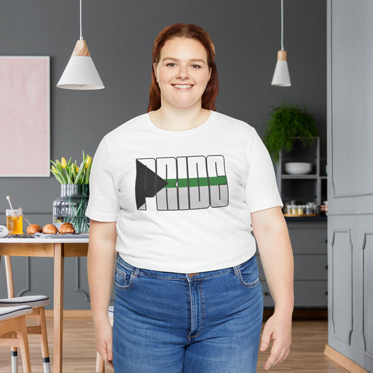 White Demiromantic Pride Tee