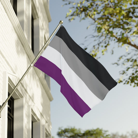 36'' × 60'' Asexual Pride Flag with Grommets