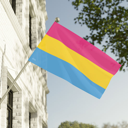 60" x 36" Pansexual Pride Flag