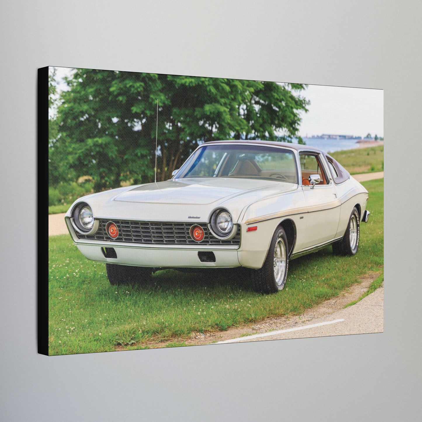 AMC Homecoming Photography Stretched Canvas Print