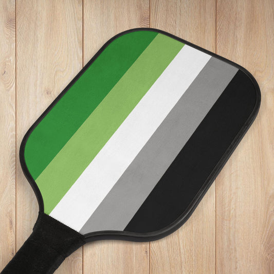 Aromantic Pride Flag Pickleball Kit