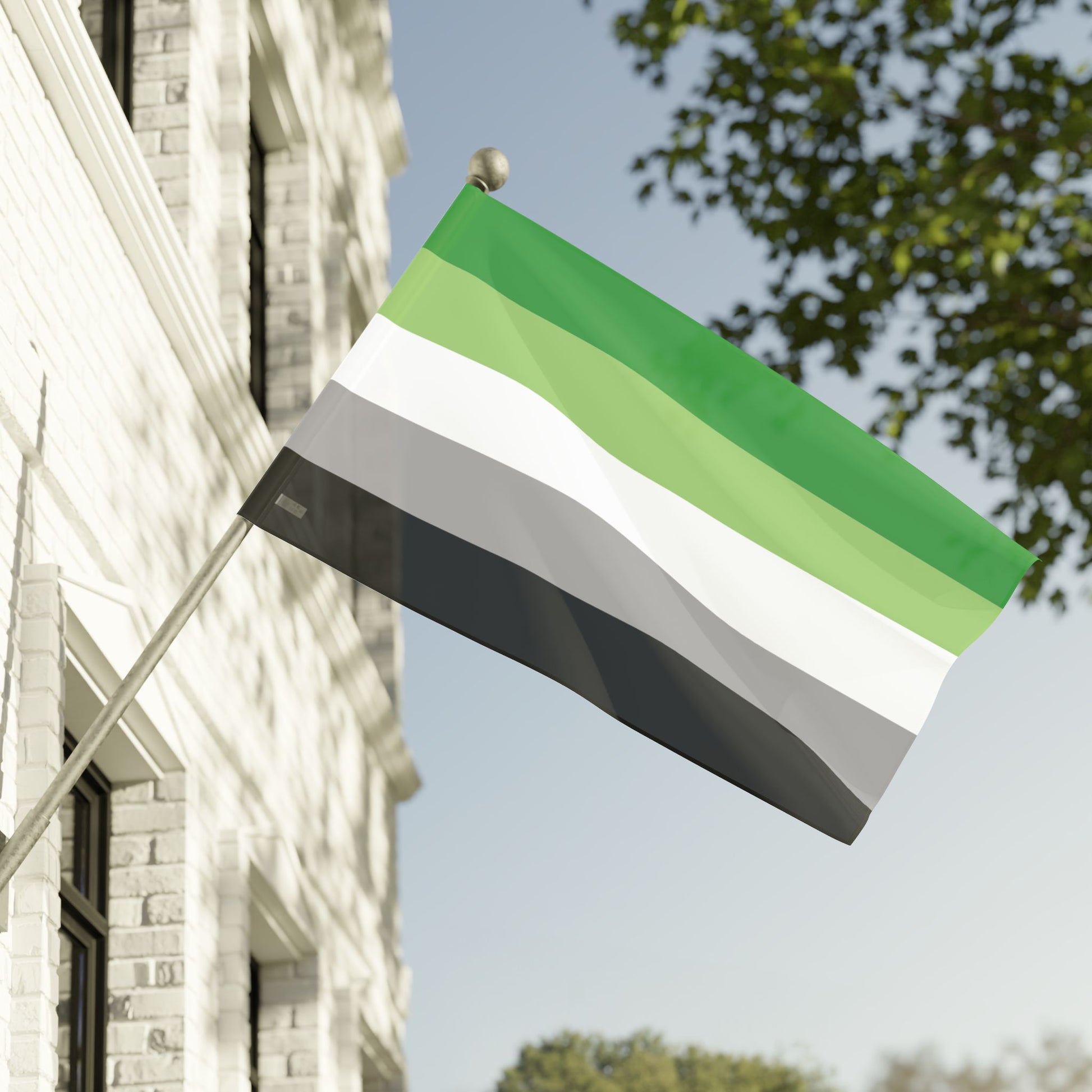 60" x 36" Aromantic Pride Flag