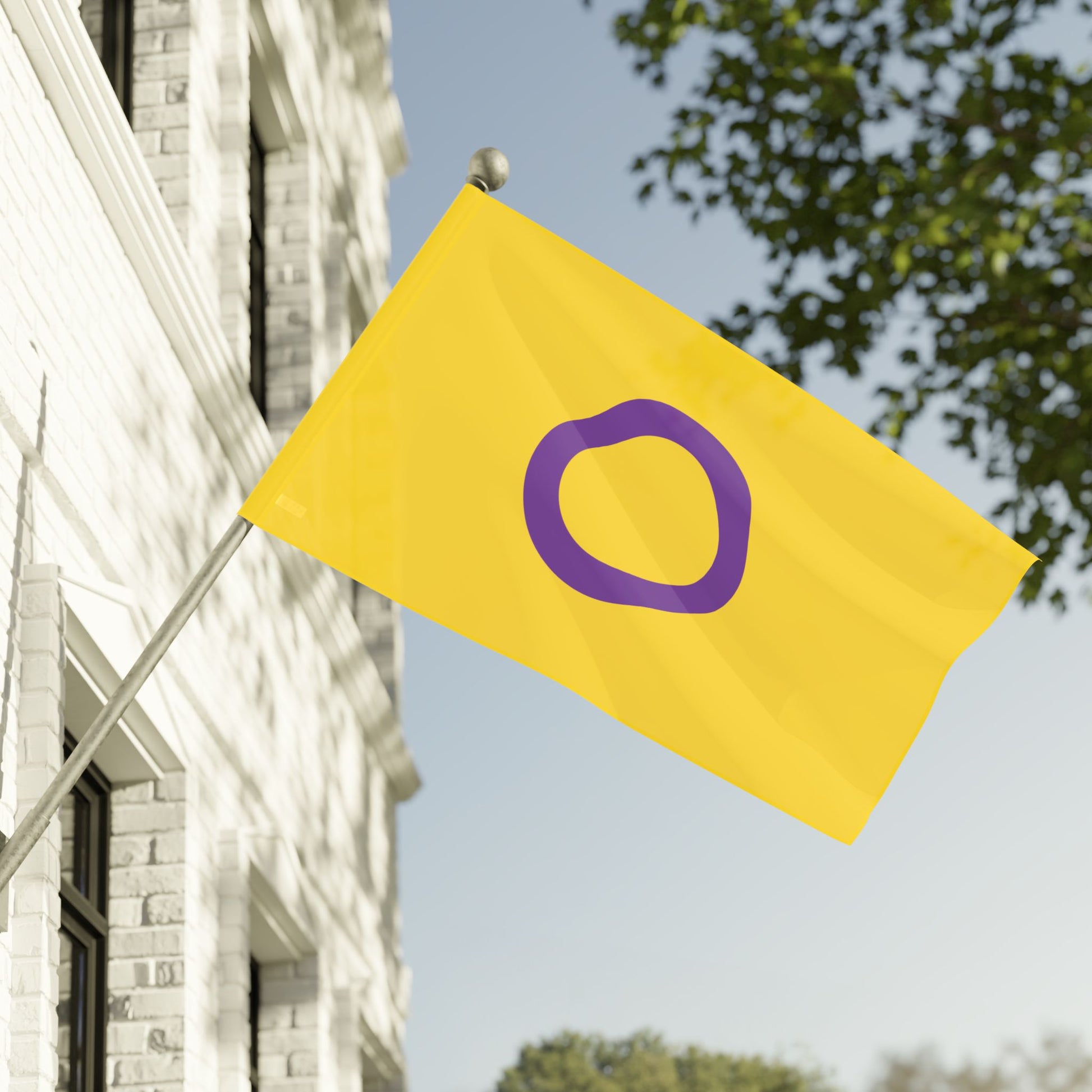 60" x 36" Intersex Pride Flag