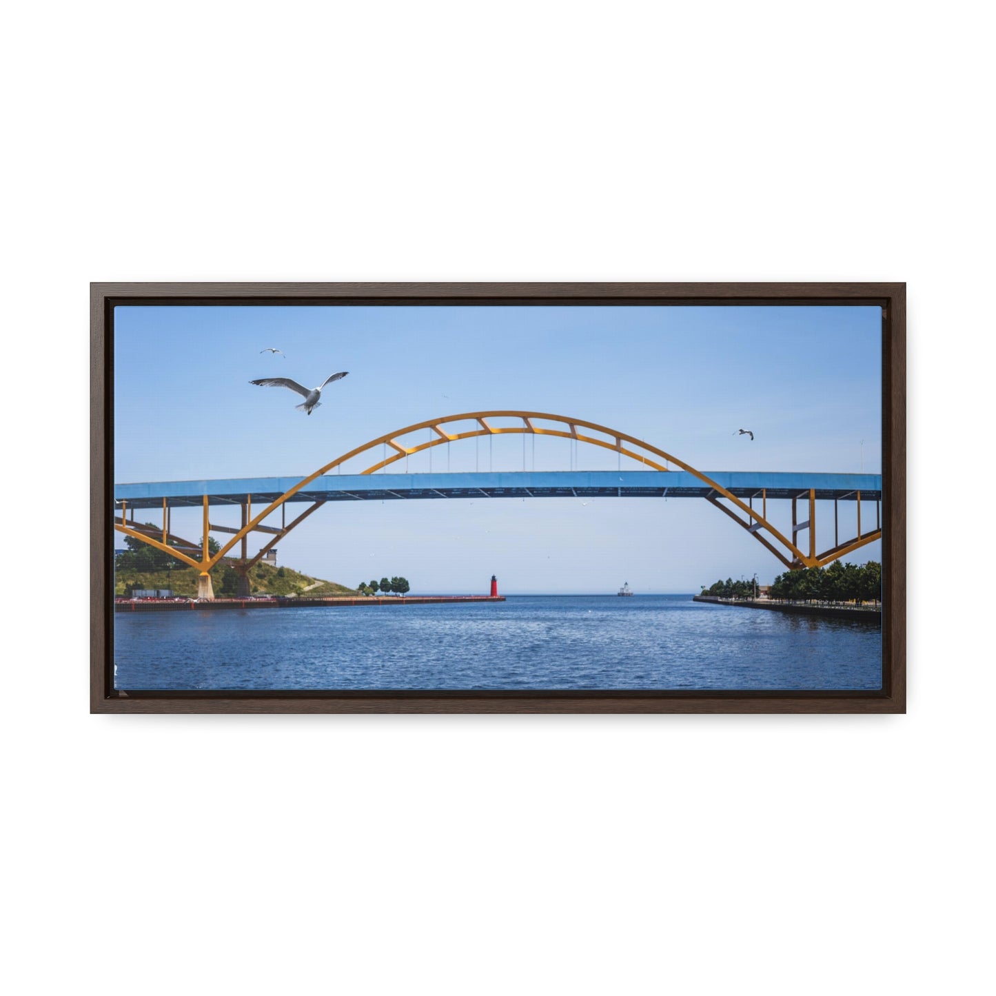 Milwaukee, Wisconsin's Hoan Bridge et mouettes, photographie encadrée sur toile