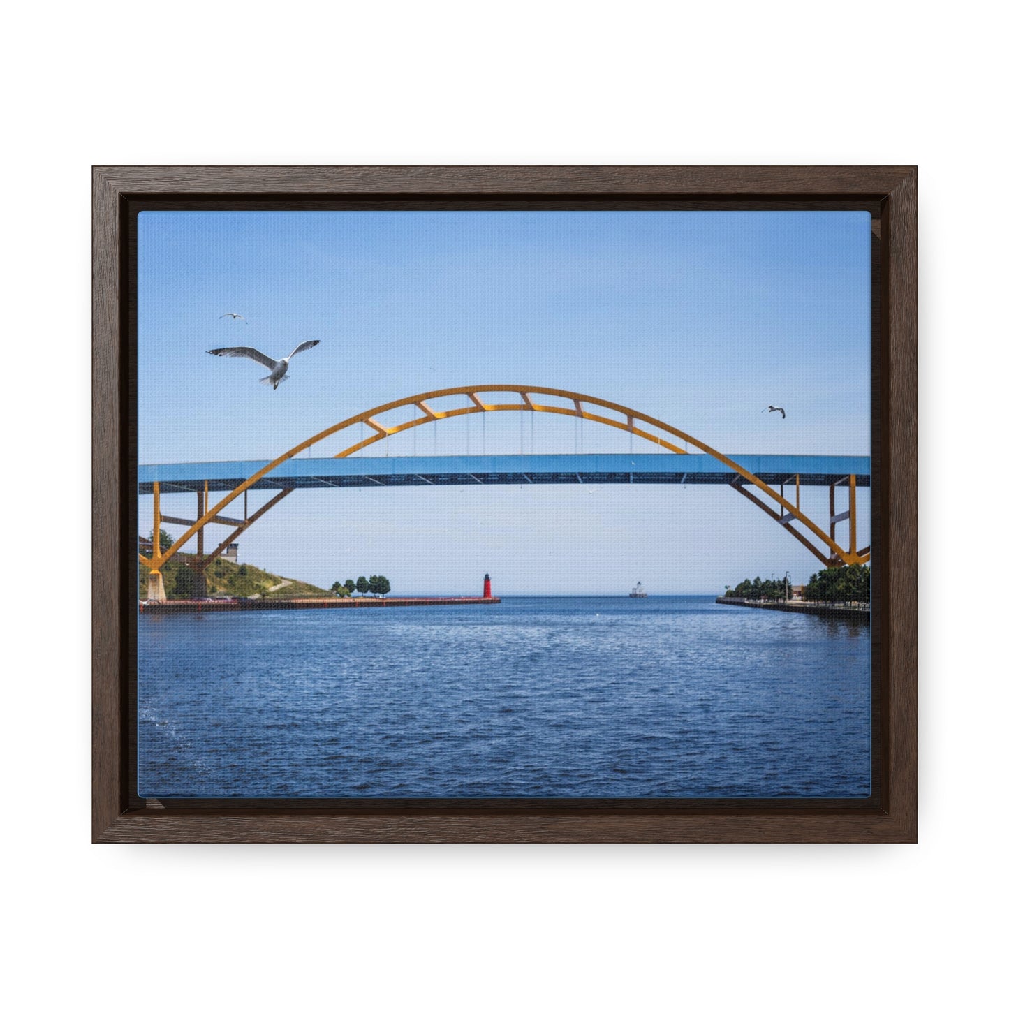 Milwaukee, Wisconsin's Hoan Bridge et mouettes, photographie encadrée sur toile