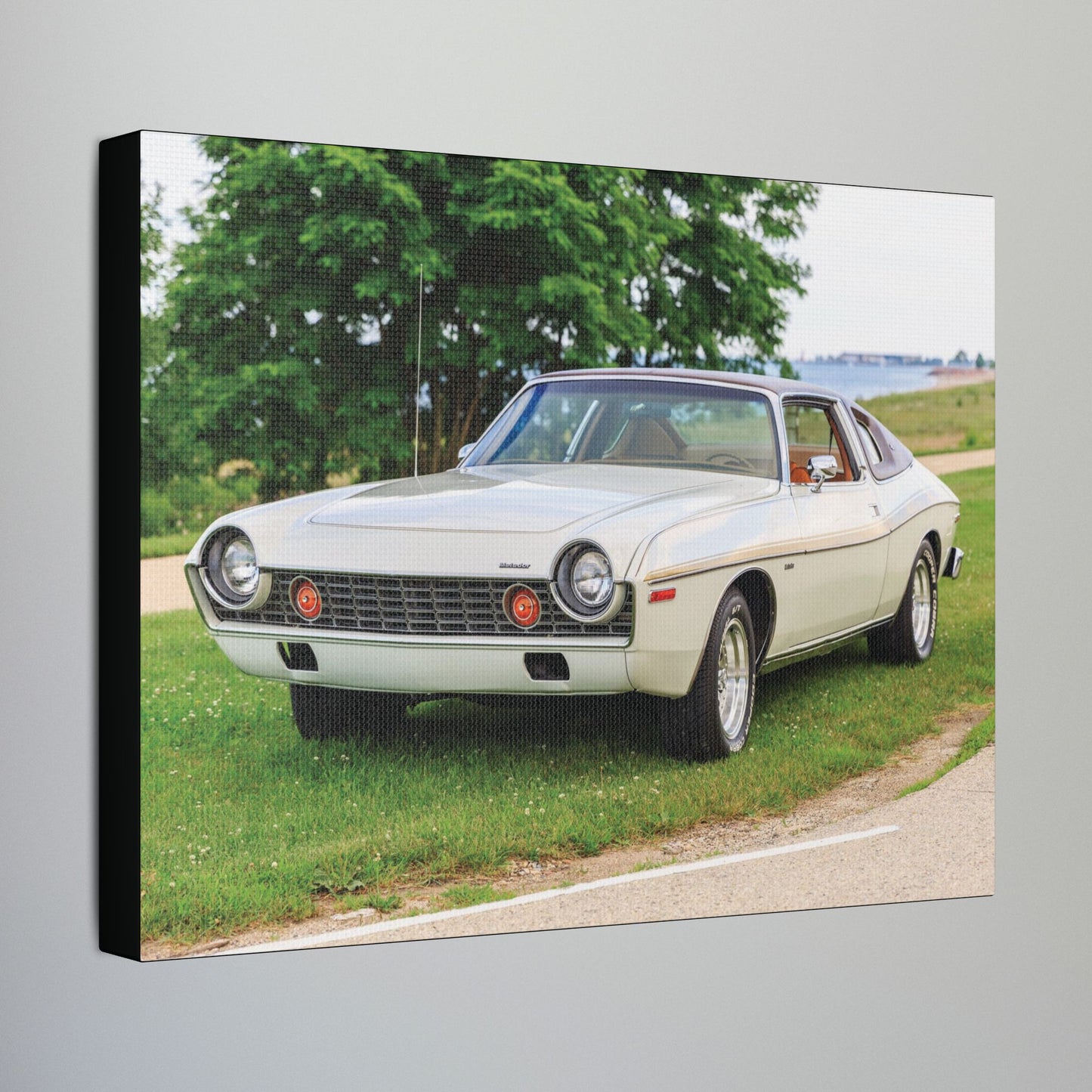 AMC Homecoming Photography Stretched Canvas Print