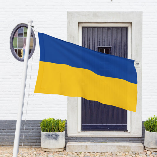 Ukraine Flag