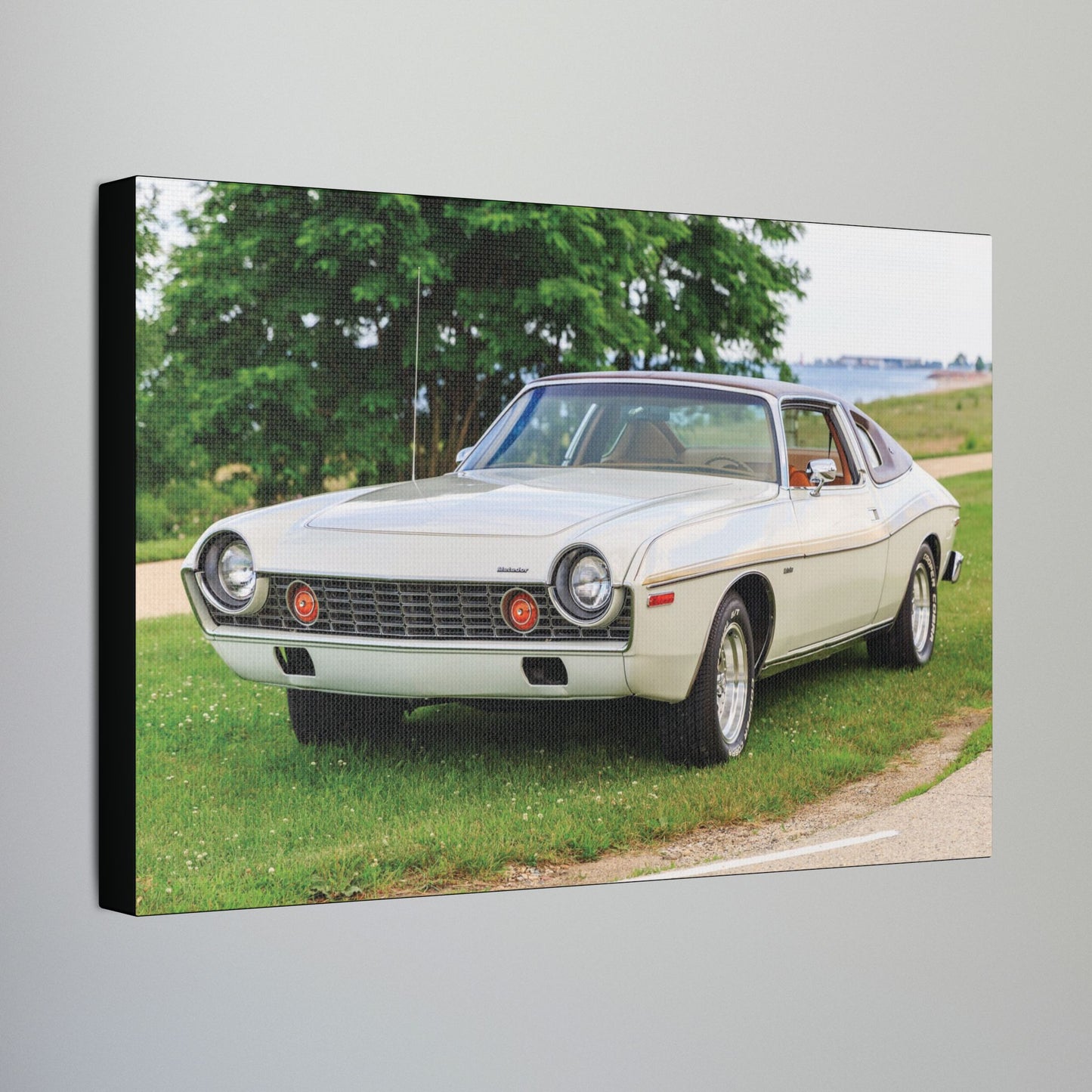 AMC Homecoming Photography Stretched Canvas Print