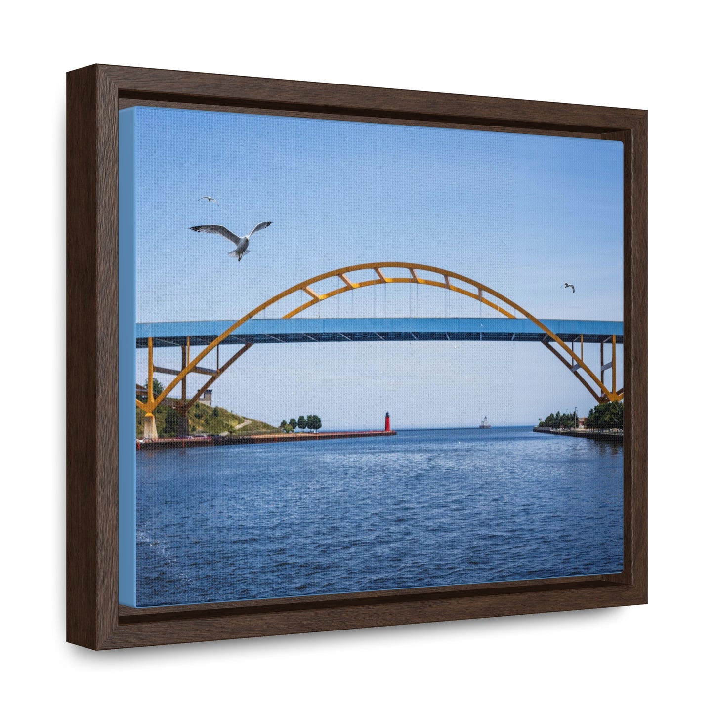 Milwaukee, Wisconsin's Hoan Bridge et mouettes, photographie encadrée sur toile