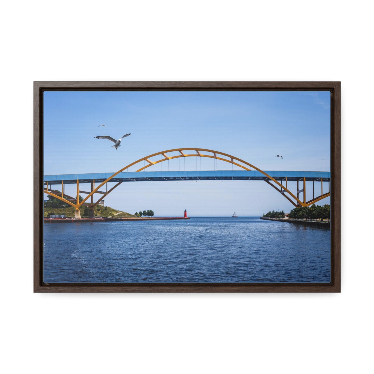 Milwaukee, Wisconsin's Hoan Bridge et mouettes, photographie encadrée sur toile
