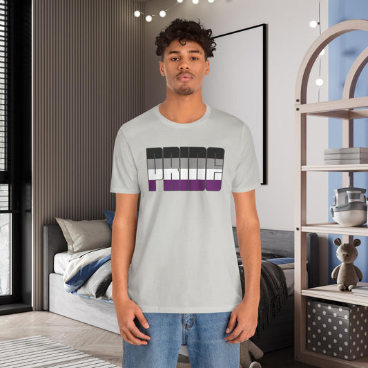Silver Asexual Pride Tee