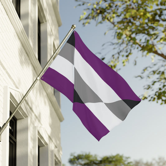 36'' × 60'' Aegosexual Pride Flag with Grommets