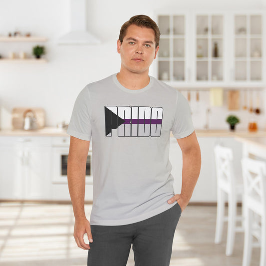 Silver Demisexual Pride Tee