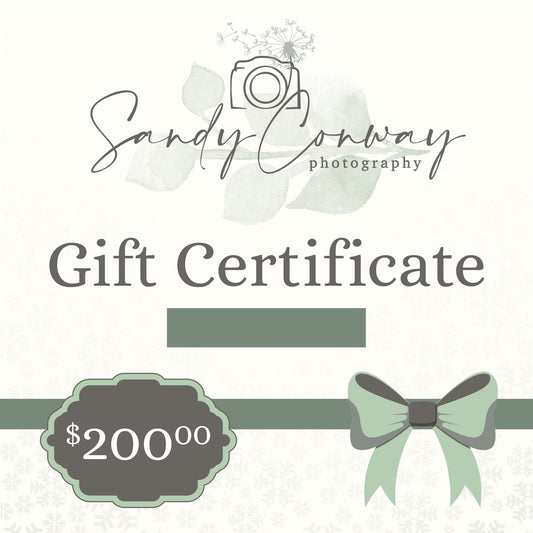 $200.00 Sandy Conway Photography Gift Certificate