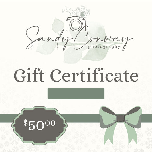 $50.00 Sandy Conway Photography Gift Certificate