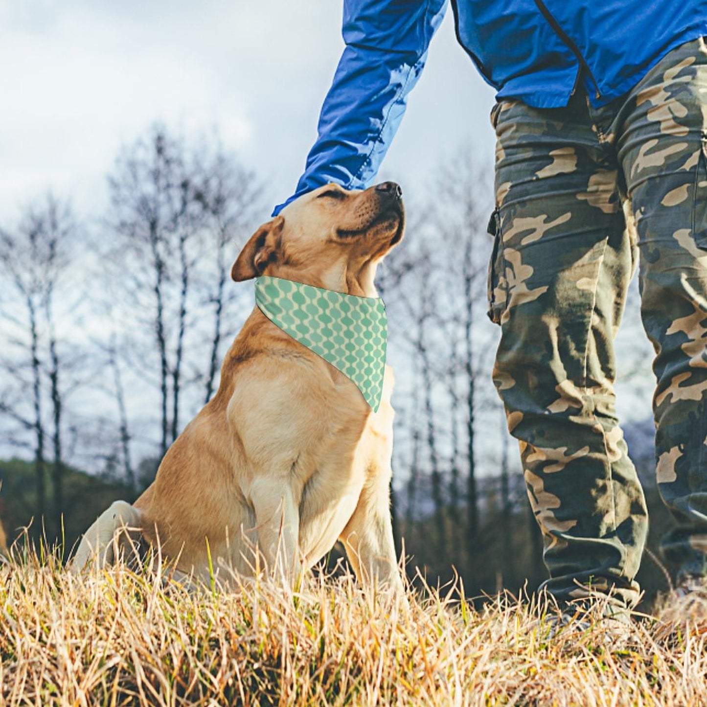 MCM Balusters | Dog Bandana