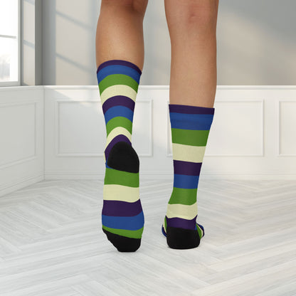 Aplatonic Pride Socks