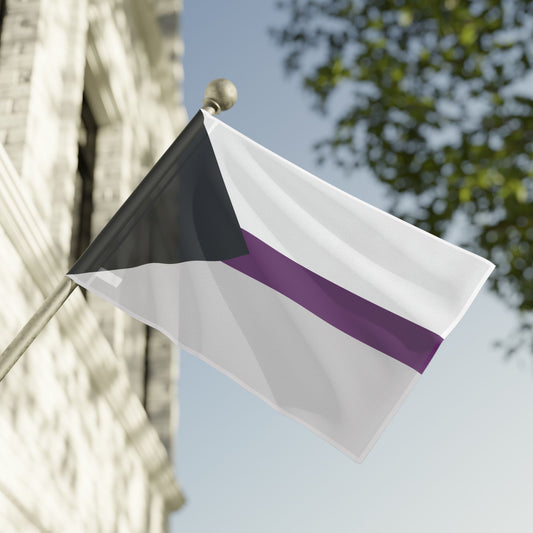 Demisexual Pride Flag (Single Sided Print), LGBTQIA+ Demisexuality Pride Flags, LGBTQ+ Demi Sexual Flag