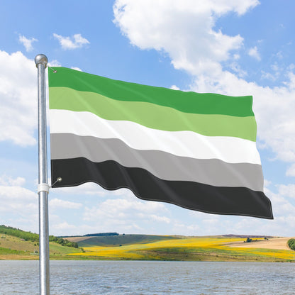 Aromantic Pride Flag with Grommets