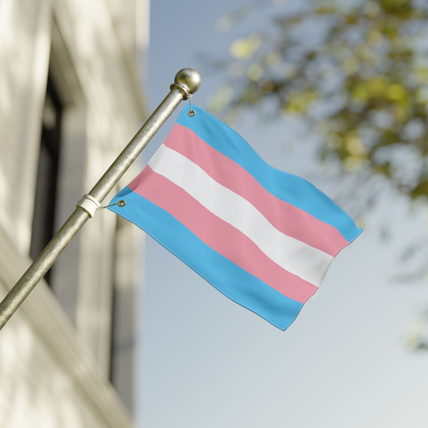 12'' × 18'' Transgender Pride Flag with Grommets