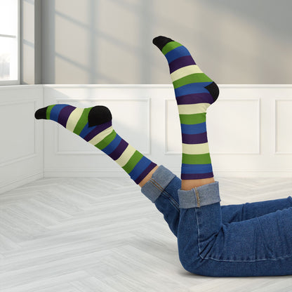 Aplatonic Pride Socks