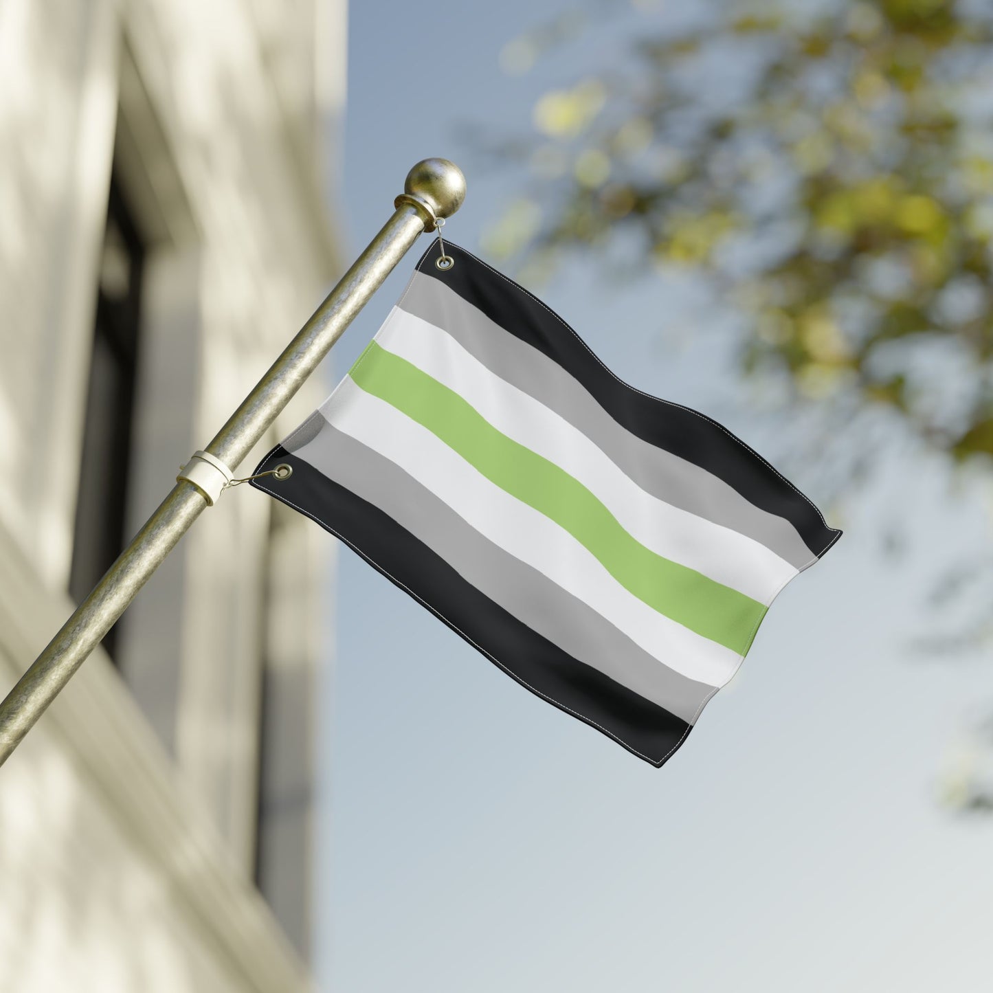 12'' × 18'' Agender Pride Flag with Grommets