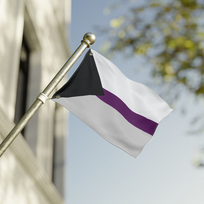 12'' × 18'' Demisexual Pride Flag with Grommets