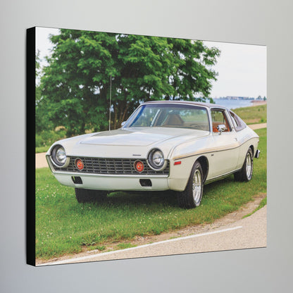 AMC Homecoming Photography Stretched Canvas Print