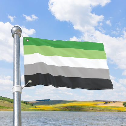 Aromantic Pride Flag with Grommets