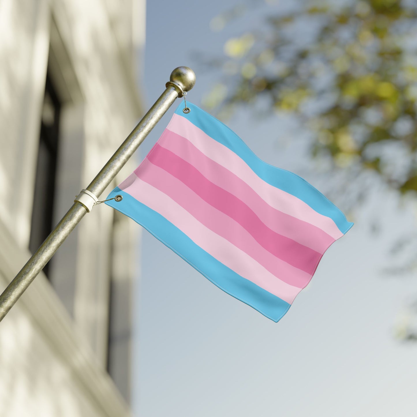 12'' × 18'' Transfeminine Pride Flag with Grommets