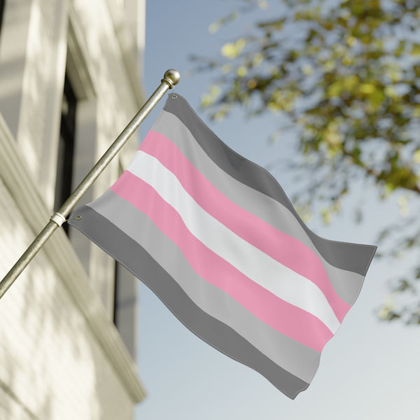 24'' × 36'' Demigirl Pride Flag with Grommets