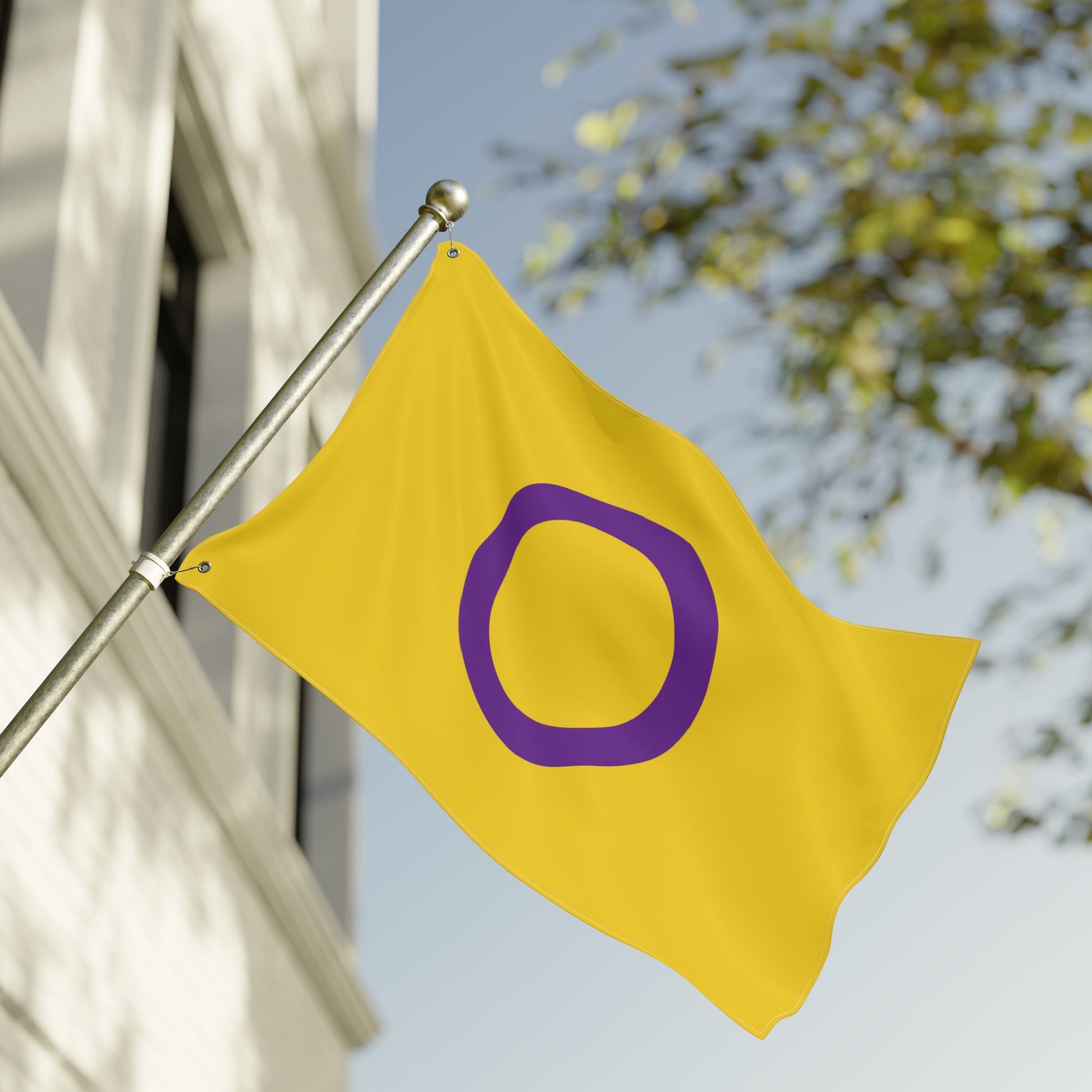 24'' × 36'' Intersex Pride Flag with Grommets