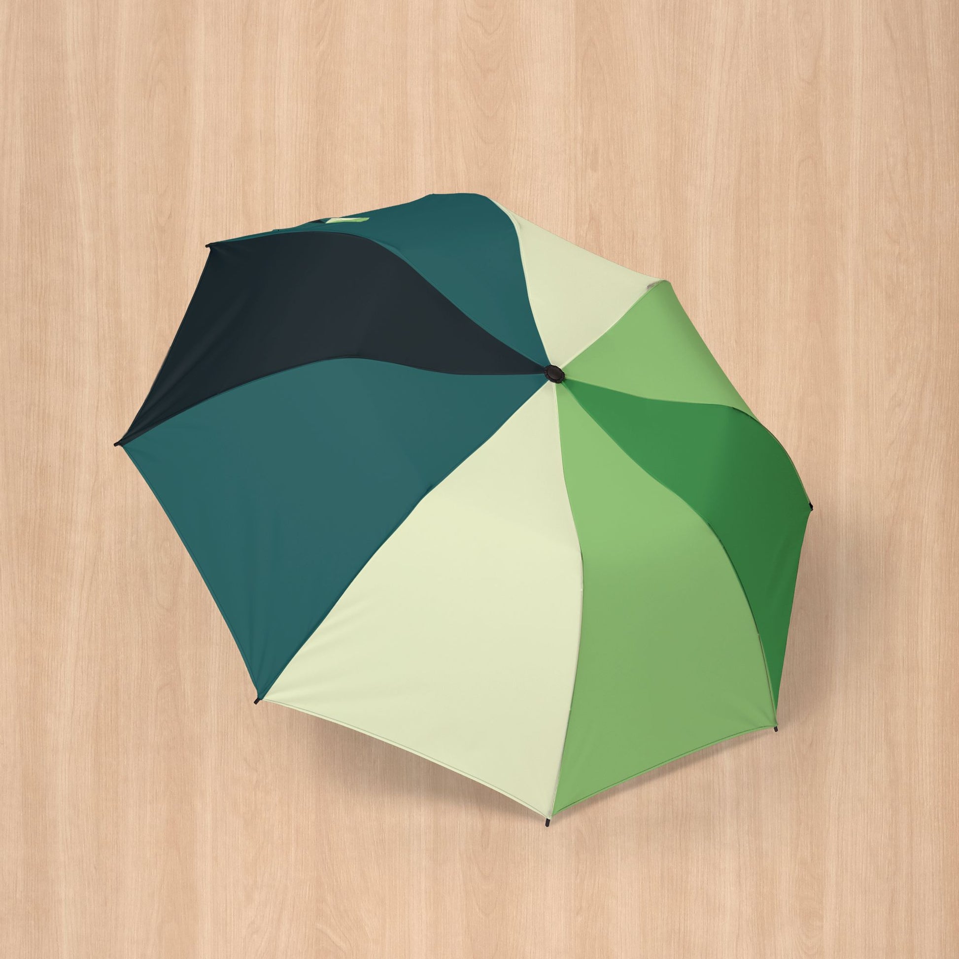 Aromantic Spectrum Pride Umbrella