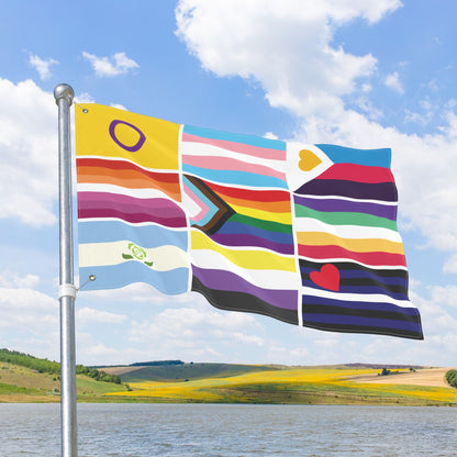 9 Pride Flag Collage with Grommets