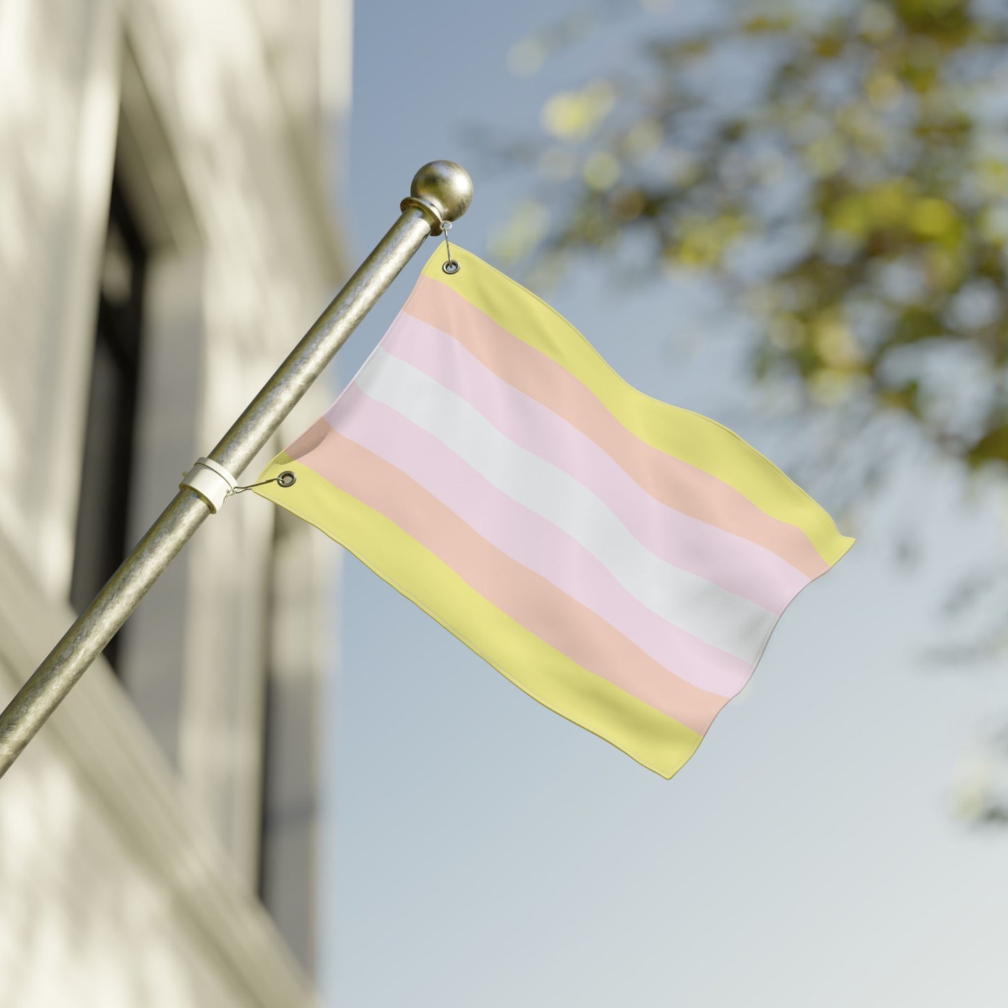 12'' × 18'' Pangender Pride Flag with Grommets