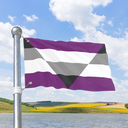 Aegosexual Pride Flag with Grommets