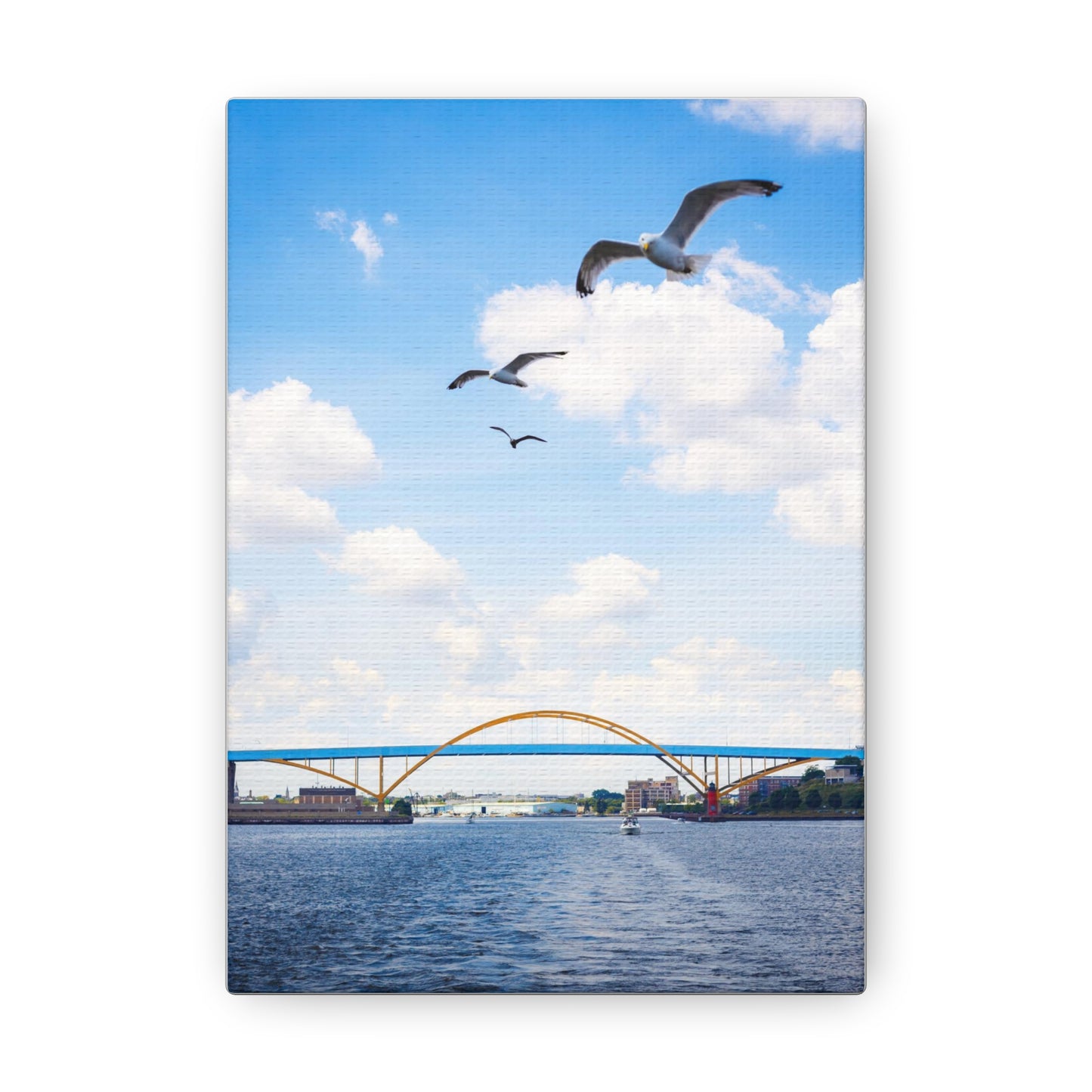 Puente Hoan de Milwaukee Wisconsin con 3 gaviotas, fotografía lienzo envoltura arte de pared