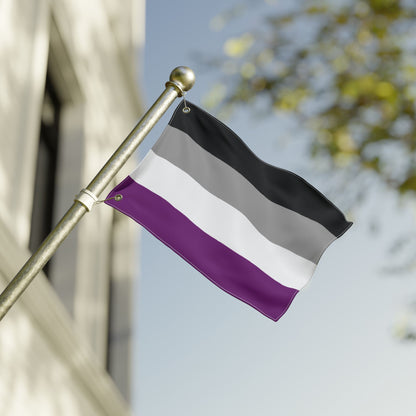 12'' × 18'' Asexual Pride Flag with Grommets