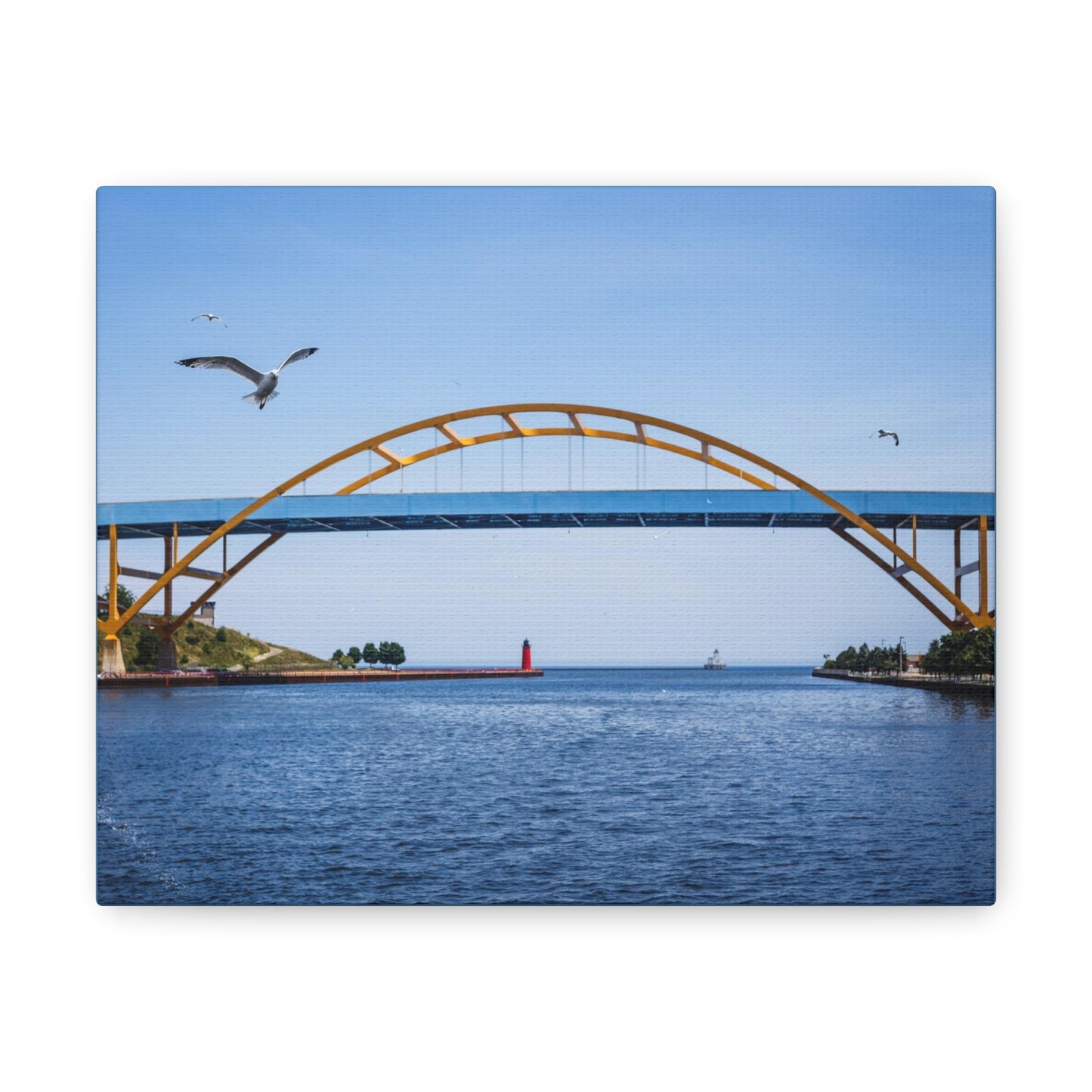 Milwaukee, Puente Hoan de Wisconsin y gaviotas, fotografía lienzo envoltura arte de pared