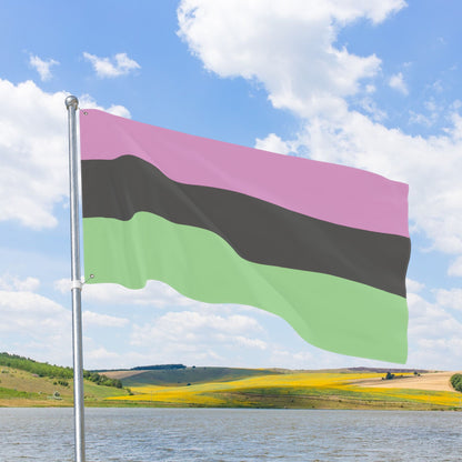 Desinoromantic Pride Flag with Grommets