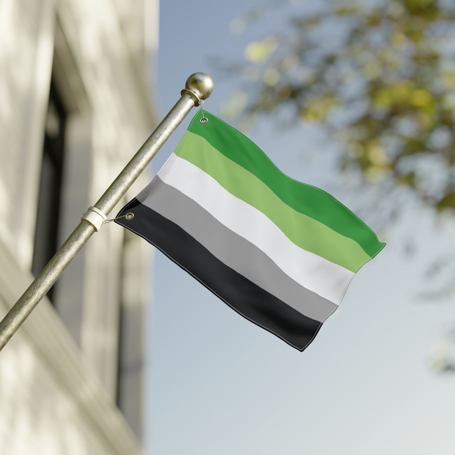 12'' × 18'' Aromantic Pride Flag with Grommets