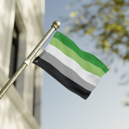 12'' × 18'' Aromantic Pride Flag with Grommets